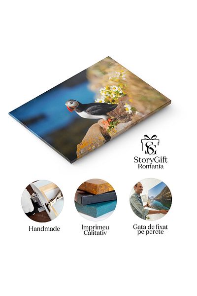 StoryGift Romania Canvas Painting 70 x 50CM Balance on the Rocks, crane, nature, Iceland, landscape, pasha, STG