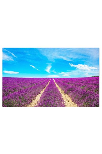 StoryGift Romania Canvas Painting Lavender in the Valley, Endless Rows, Provence, Flowers, Aromatherapy, Landscape 2740