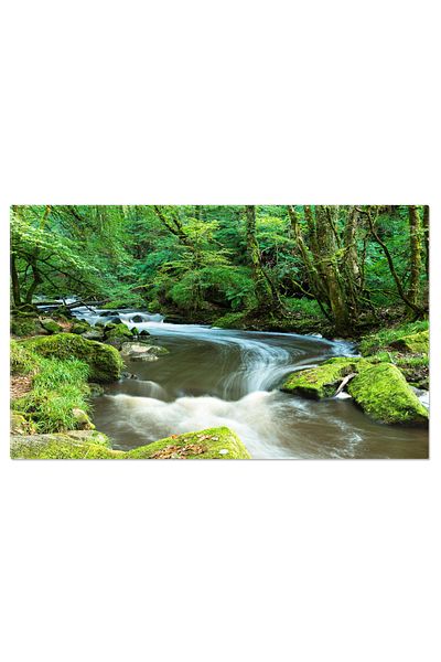 StoryGift Romania Canvas Print Golitha Waterfall in Cornwall waterfall, nature, landscape, Cornwall, water 2179