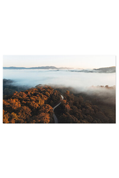 StoryGift Romania Tablou Canvas cu Peisaj Misty de Vara - Frumusetea Padurii ...