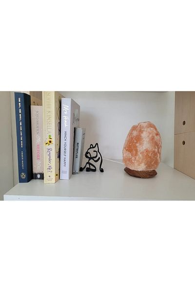 Cypnova French Bulldog Book Holder – Cute and Decorative Design