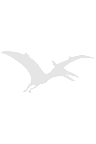 StoryGift Romania Sticker Autocolant 30CM Exterior cu dinozaur zburator - pterodactil , Vinyl Alb, 30 cm