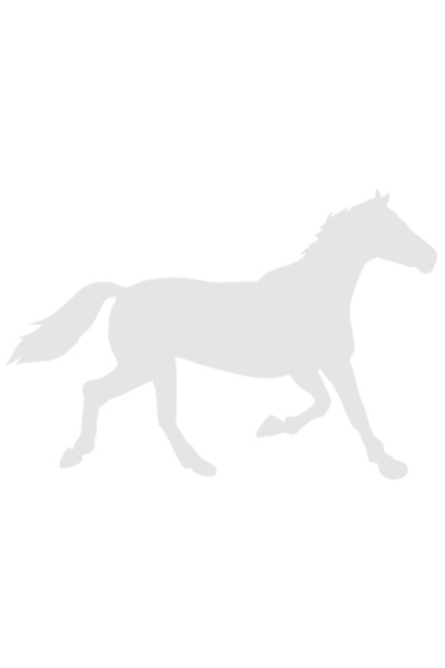 StoryGift Romania Sticker Adeziv 90CM Exterior cu un cal care fuge - pentru p...