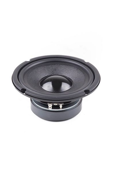 Master Audio MA16W4+4, 165mm Woofer Speaker with 2 Voice Coils