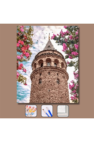 Pastelya Sayılarla Boyama Seti Çerçeveli Kasnaklı Galata Rüyası 40x50 cm