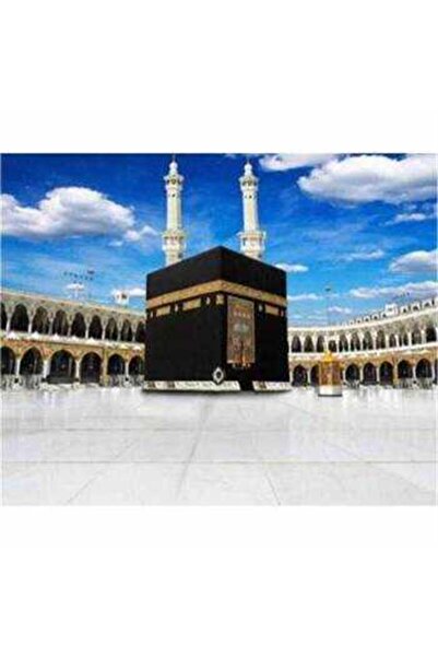 Pastelya Sayılarla Boyama Seti Çerçeveli Kasnaklı Kabe 40x50 cm