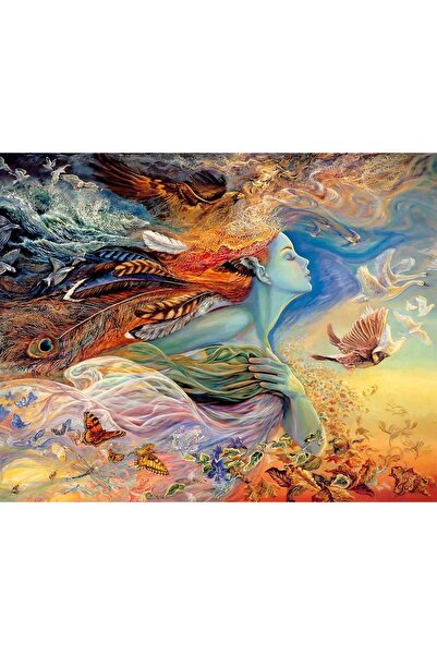 Pastelya Sayılarla Boyama Seti Çerçeveli Kasnaklı Simurg Kadını 60x75 cm