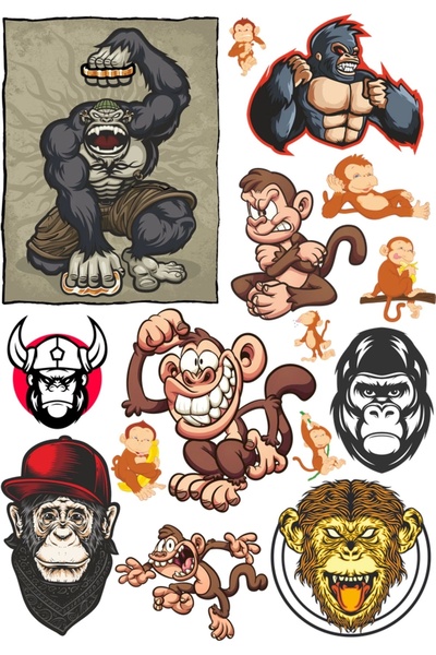 Reysa Tasarım مجموعة ملصقات القرد - 1 مكونة من 12 قطعة للهاتف والكمبيوتر اللو...