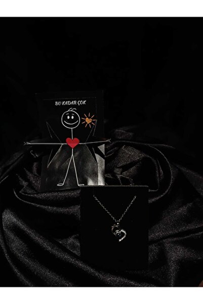 ALLEGORYA Çelik 100 Dilde Seni Seviyorum Kolye (gümüş) ve Seni Seviyorum Yazılı Kollarını Açan Kart