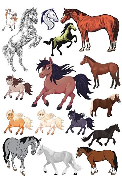 Reysa Tasarım مجموعة ملصقات الحصان - 1 13 قطعة للهاتف والكمبيوتر اللوحي والكم...