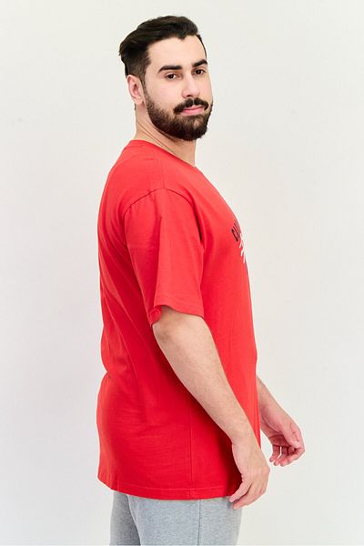 Reebok Men Sportswear Fit Brand Logo Short Sleeves Outdoor T-shirt, Red