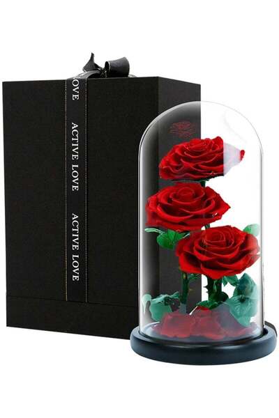 Vitacelli 3 ورود حمراء في قبة زجاجية، وردة أبدية حقيقية محفوظة في صندوق هدايا...