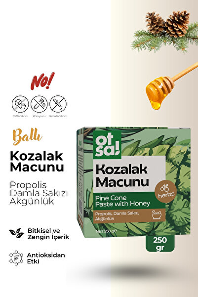Otsa Çam Kozalak Macun 250 gr