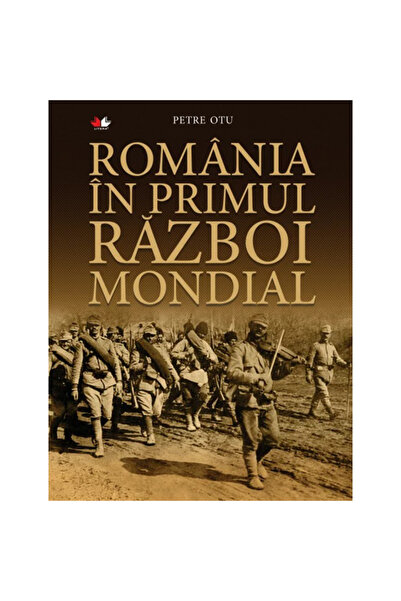Litera Η Ρουμανία στον Α΄ Παγκόσμιο Πόλεμο, Petre Out