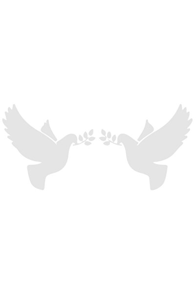 StoryGift Romania Sticker Adeziv 20CM Exterior cu doi porumbei care tin 2 crengute , Vinyl Alb, 20 cm