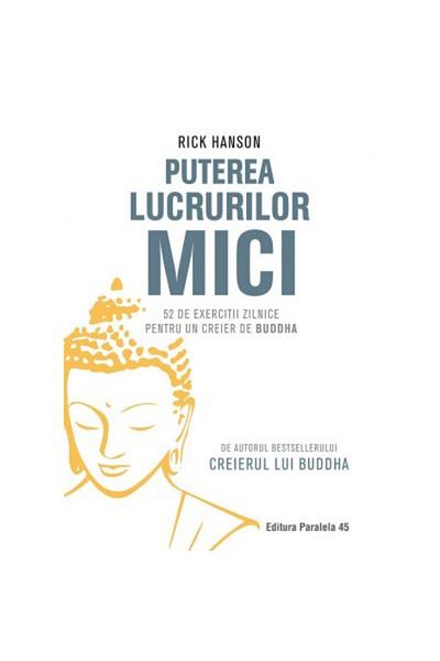 Paralela 45 The Power of Small Things: 52 Daily Exercises for a Buddha Brain - Rick Hanson
