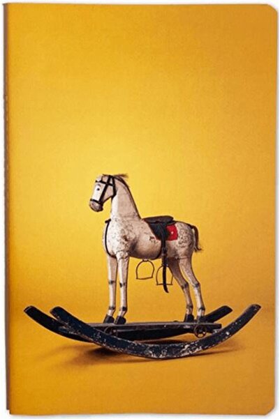 Tiyo Yayınları Nesin Defter - Sallanan At