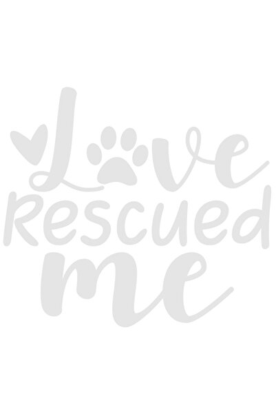 StoryGift Romania Sticker Adeziv 20CM Exterior pentru cei care salveaza animale din iubire , Vinyl Alb, 20 cm