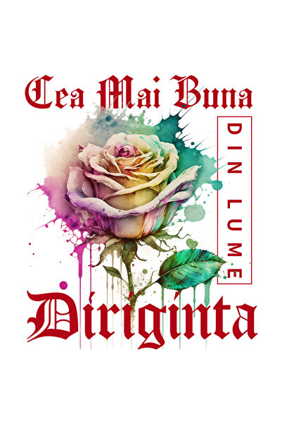 StoryGift Romania Sticker Autocolant 70CM Cu Textul Cea Mai Buna Diriginta, D...