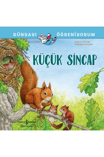 TÜRKİYE İŞ BANKASI KÜLTÜR YAYINLARI Küçük Sincap Dünyayı Öğreniyorum