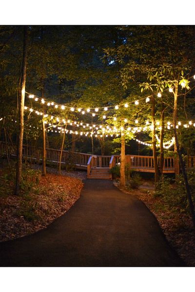 sekizgen led 40 Meters 79 Lampholder Row Garden and Organization Lighting Cable Without Bulb