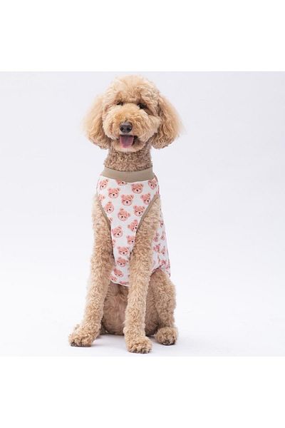 Pawstar Cute Bears Big Dog T-Shirt - Dog Clothing (15 Kg-45 kg)