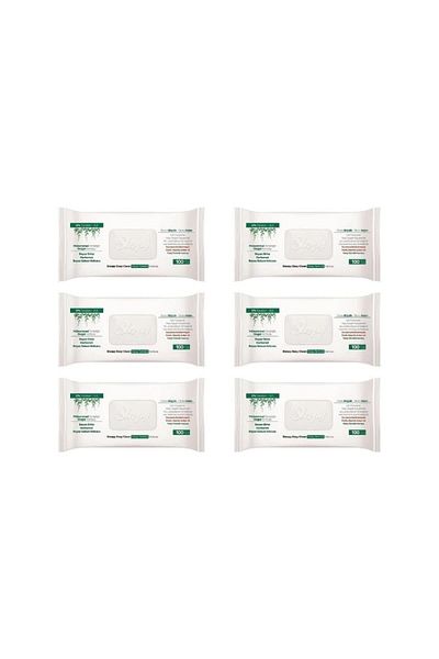 Sleepy Easy Clean Surface Cleaning Towel 100 Sheets 6 Pack (600 Sheets)