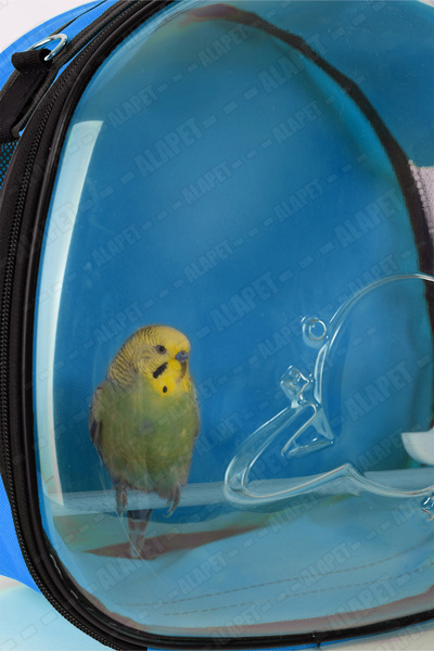 AlaPet Sırta Asılan Suluklu Kuş Taşıma Çantası (Sabit Tünekli) Her Kuş İçin Uygun DEV BOY! Mavi Renk