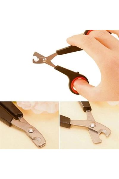 Angoravi Pet Nail Clipper And Rasp Set Manicure Pedicure Paw Care Tool Non-Slip Handle