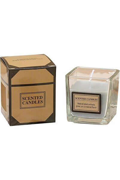 Flippy Scented Candle, Transparent Glass Cup with Essential Oil, 4.8 x 5.4 x 5.5 cm, Amber Scent, Gr