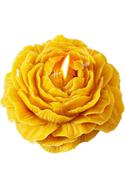 Flippy Scented Candle Rose Model, 10h Burn Time, 70 g, 7.5x3.5 cm, Citrus Scent, Orange