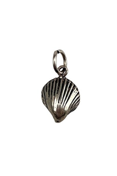 Bibilel Ασημένιο μενταγιόν 925, κέλυφος