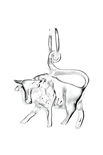 Jolie Silver Pandantiv din argint 925 Jolie Silver, Zodia Taur, 18 x 18 mm, 1 g