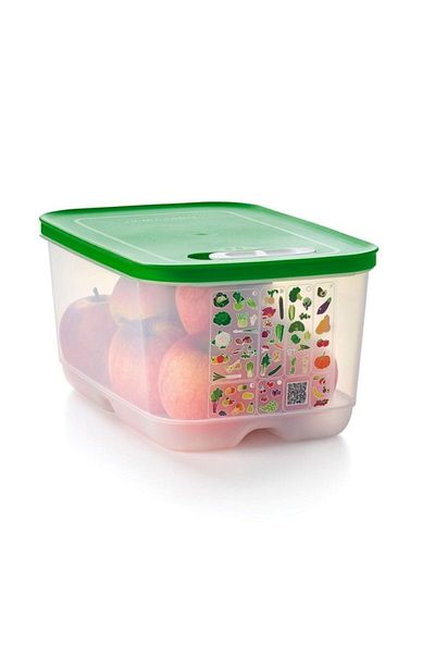 Tupperware Greenhouse Salad Set 4 Pieces