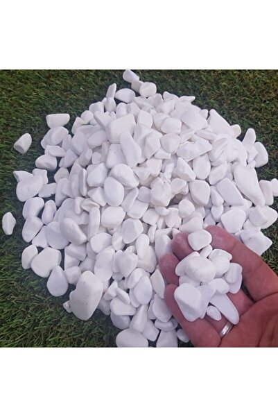 Doğalsan Tarım Beyaz Dolomit Taş 5 Kg 1,5-2,5 Cm Dere Taşı Çakıl Taşı Saksı T...