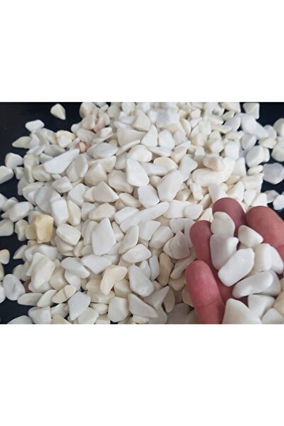 Doğalsan Tarım Beyaz Dolomit Taş 3 Kg 1-2 Cm Dere Taşı Çakıl Taşı Saksı Taşı ...