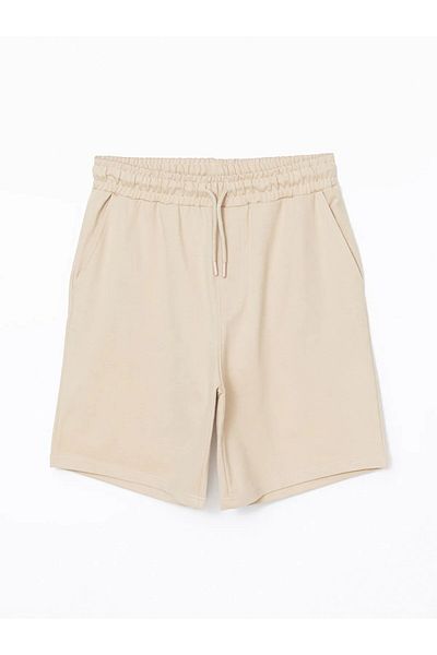 LC Waikiki Ανδρικό σορτς Standard Fit