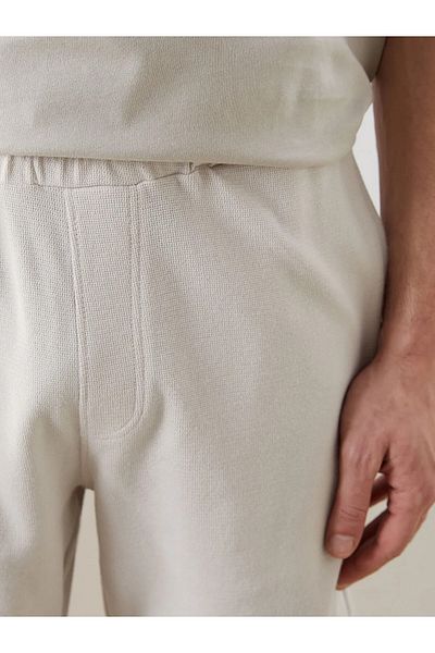 LC Waikiki Ανδρικό σορτς Standard Fit