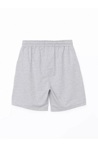 LC Waikiki Standard Fit Men's Shorts