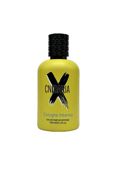 samam Sundaria X Colgne Intense Eau de Parfum Intense - 100ml