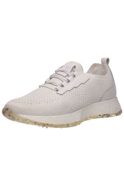 SALAMANDER Sneaker