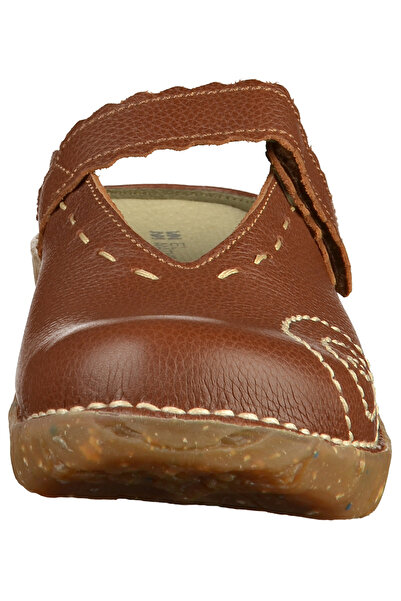 El Naturalista Dřeváky