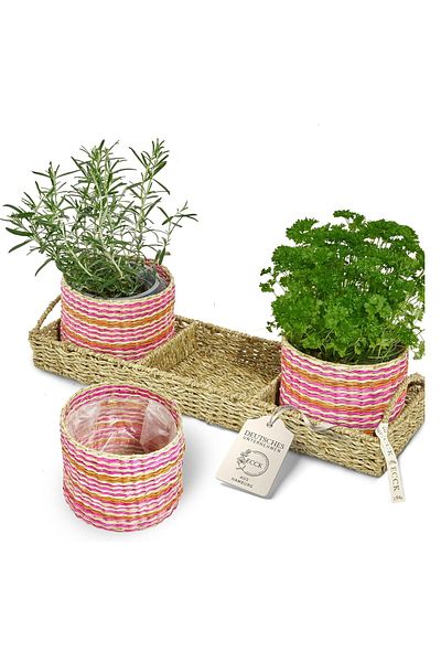 DELPI Flower Pot - Pink - 10 - 15 cm