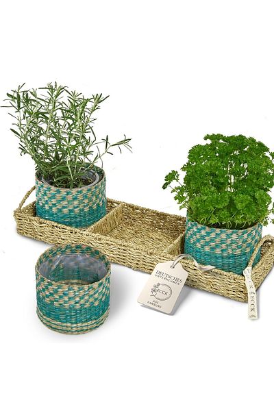 DELPI Flower Pot - Green - 10 - 15 cm
