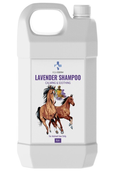 Caline شامبو اللافندر للخيول 5 لتر، تركيبة مهدئة ومنظفة لمعطف لامع وصحي