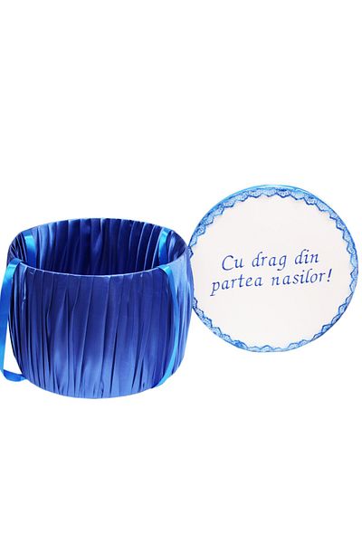 Recostore Electric blue-white suitcase transport box, 30x25 cm, REC1252