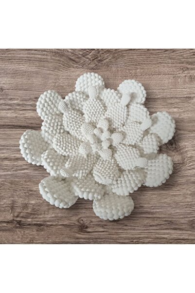 lusira DEKORATİF KAKTÜS TABAK