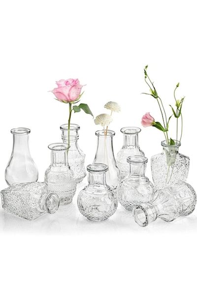 DELPI Set 10 Decorative Glass Vases, Small Sizes, Distinct Models, Transparent