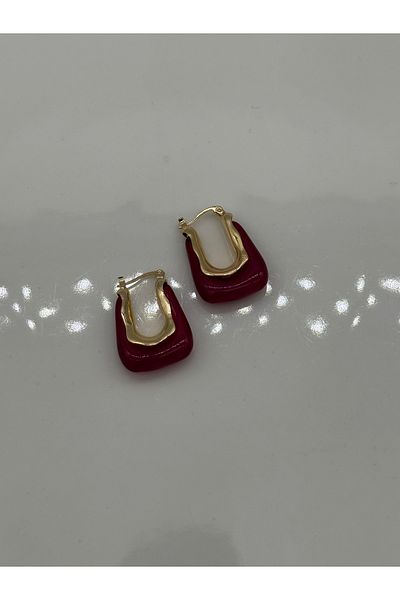 CT STONES Bag model steel earrings