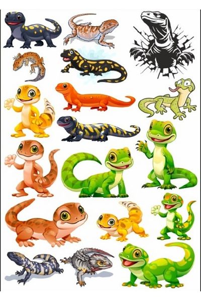 Reysa Tasarım Iguana Sticker Set